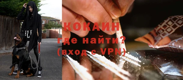 тгк Арсеньев