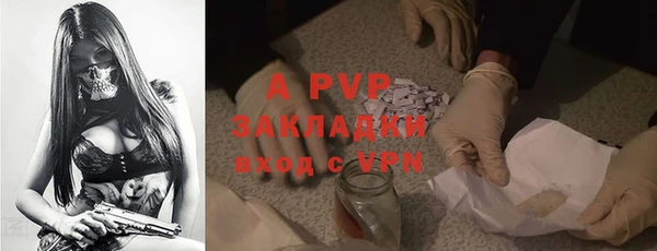 ECSTASY Покров