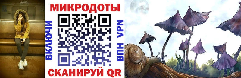 Псилоцибиновые грибы прущие грибы  hydra онион  Покров 